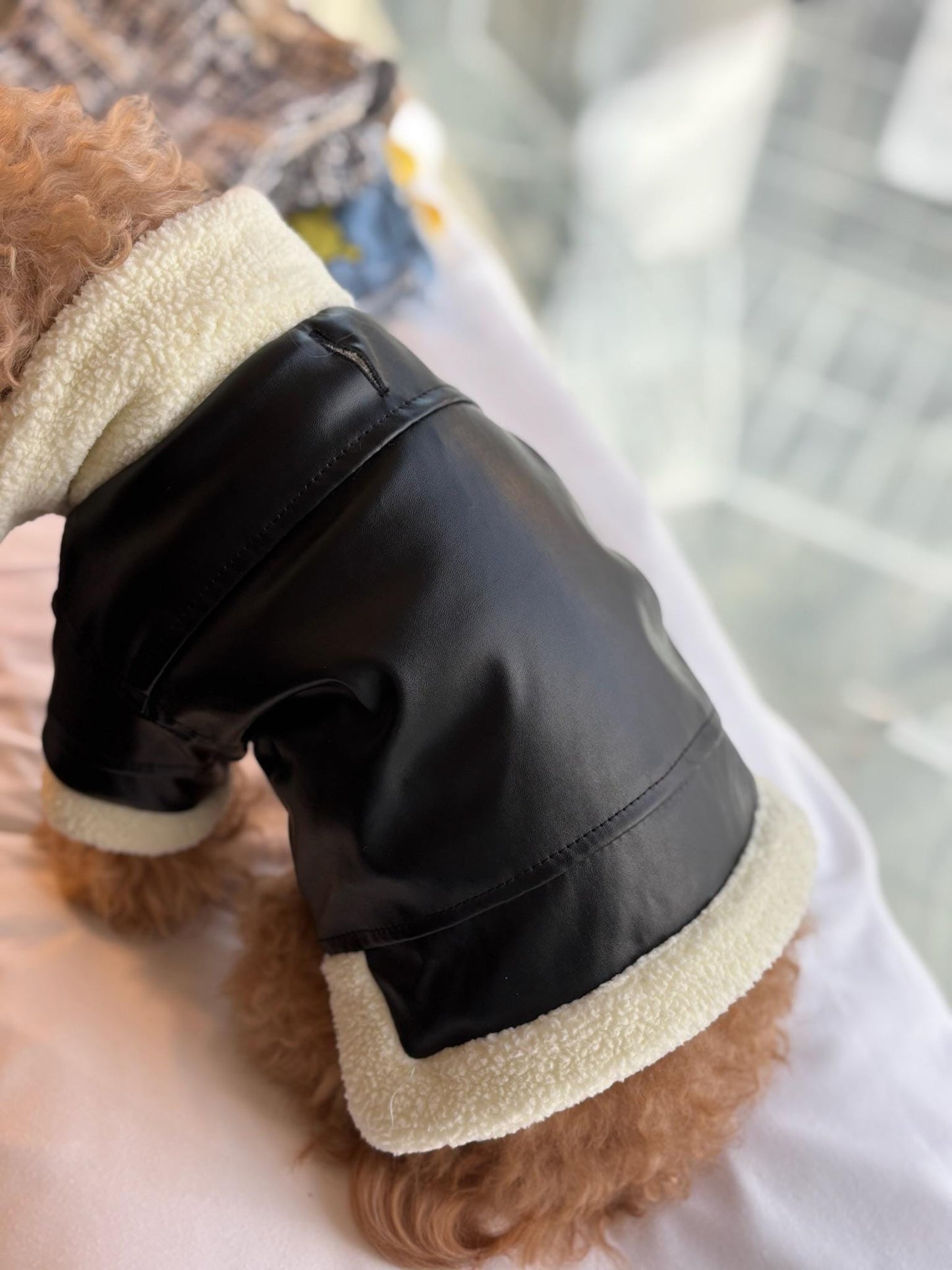 Fancy Dog Leather jacket
