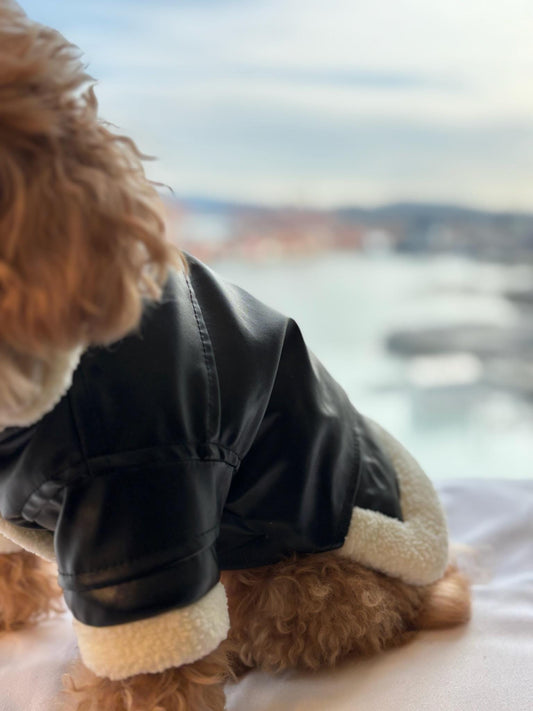 Fancy Dog Leather jacket