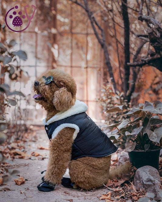 Jack Daniel’s Inspired Dog Jacket