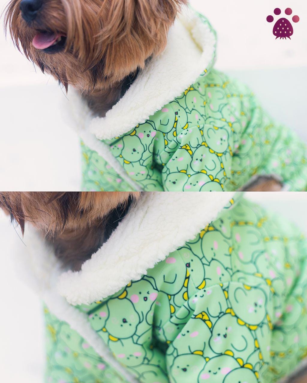 Waterproof Green Dinosaur Jacket