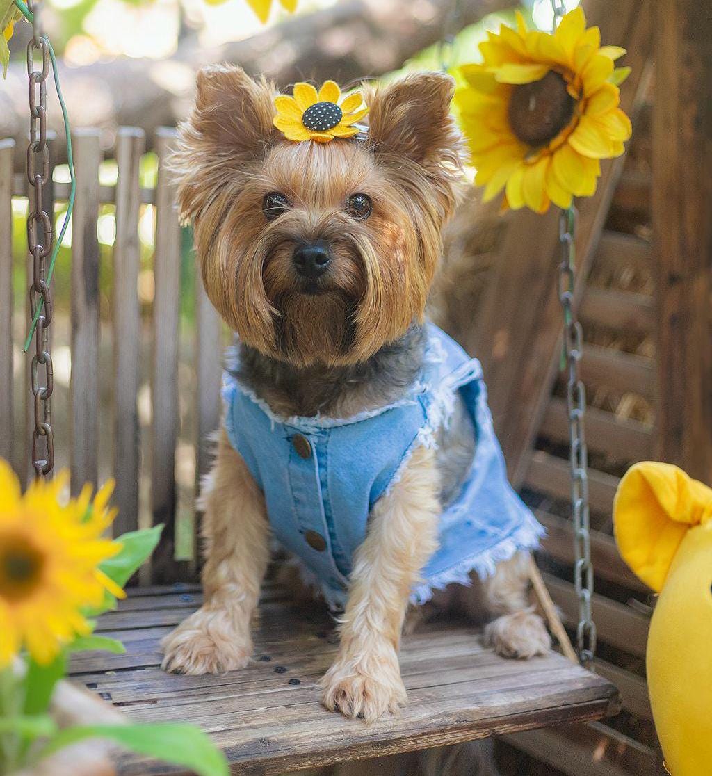 Winnie the Pooh Denim Vest