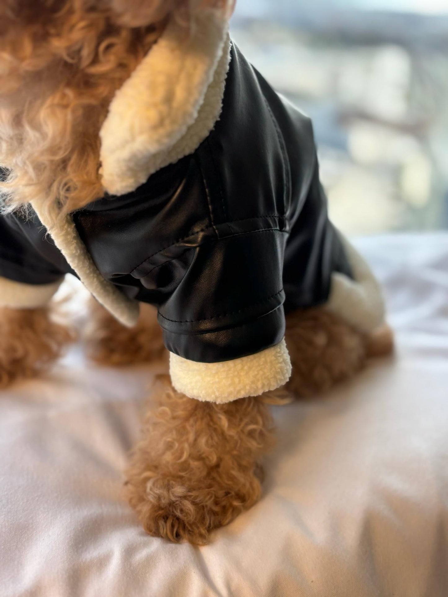 Fancy Dog Leather jacket