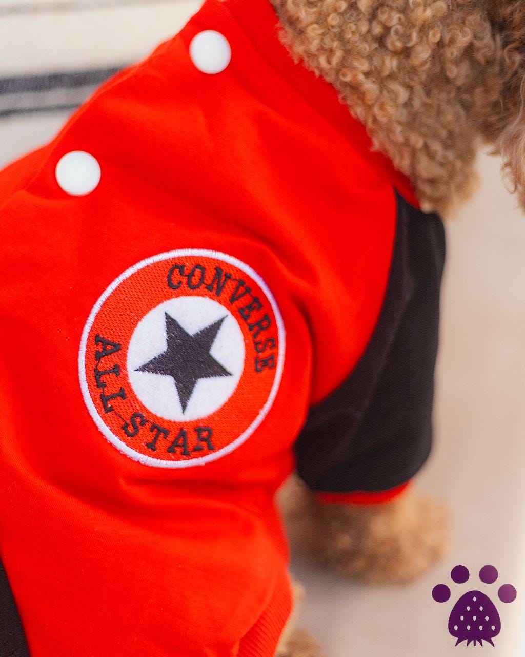 All Star Cozy Dog Sweater