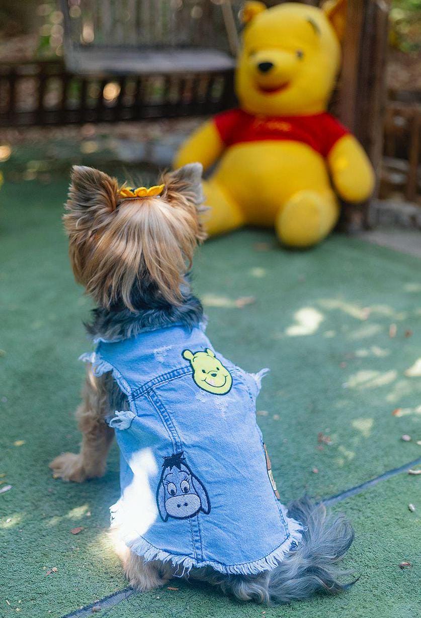 Winnie the Pooh Denim Vest