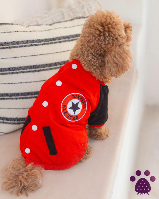 All Star Cozy Dog Sweater