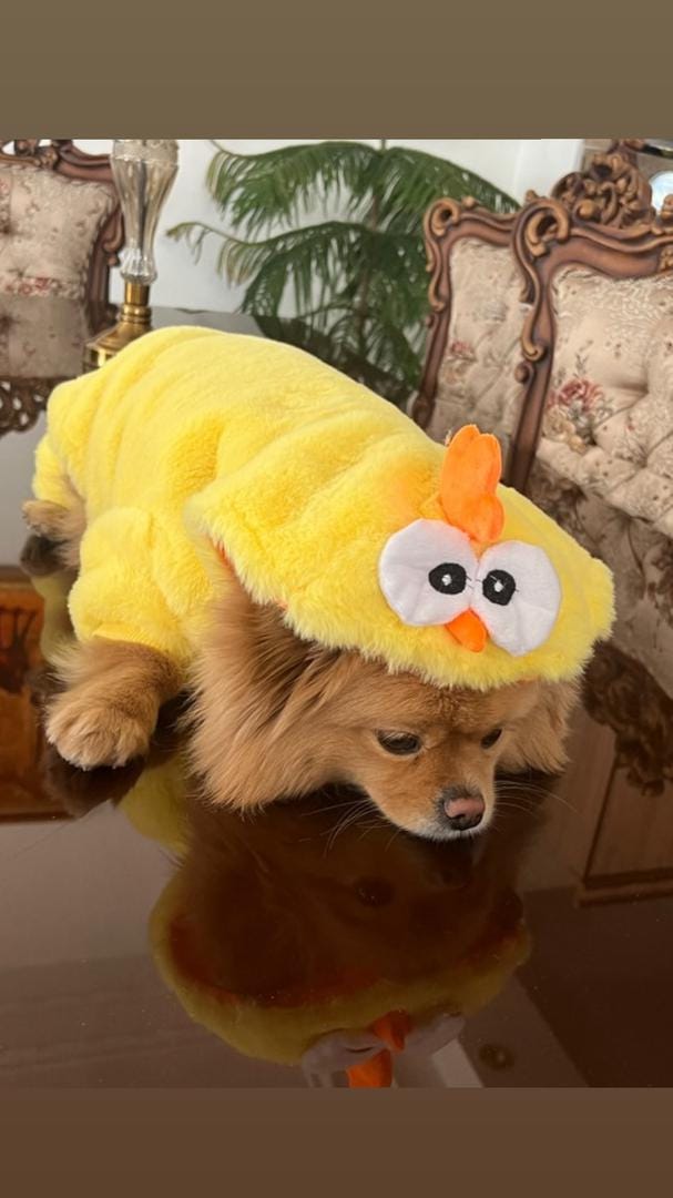 Adorable Ultra-Soft Yellow Chicken Hoodie for Dogs