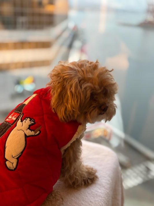 Reversible Coca Cola Dog Puffer Jacket