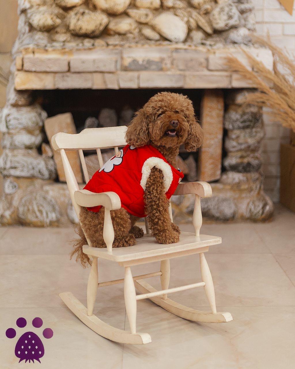 Reversible Coca Cola Dog Puffer Jacket